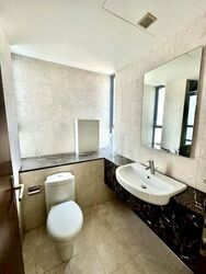 Residences @ Evelyn (D11), Condominium #606338041